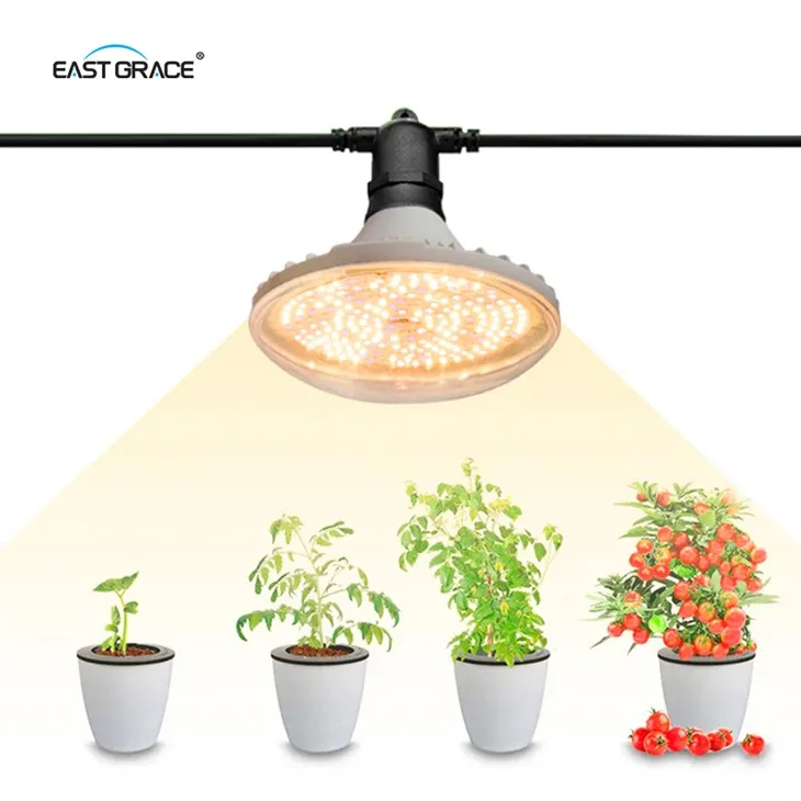 Indoor Plant UFO LED Grow Light Bulb C